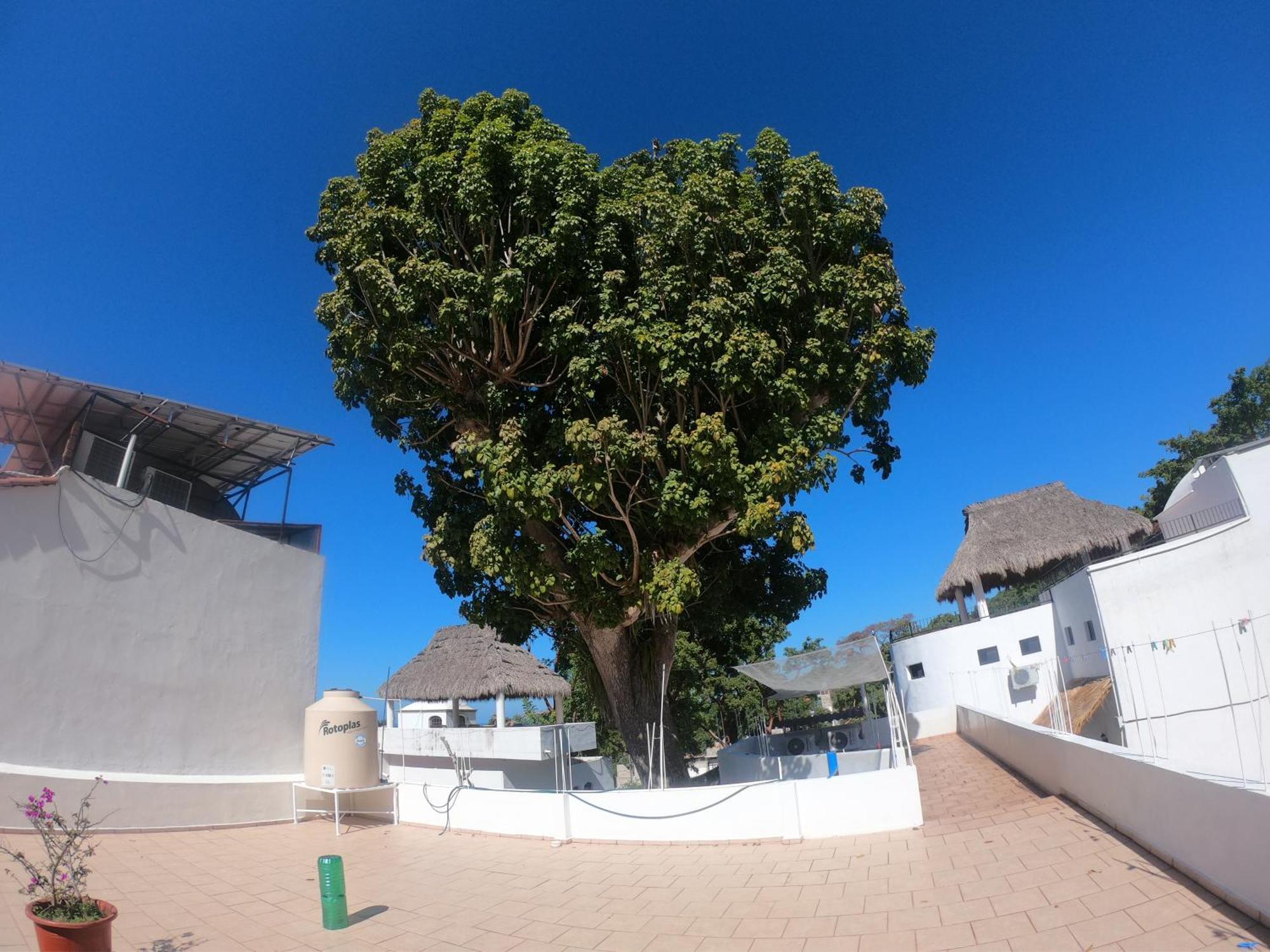 Casa Arbol De Paz Habitacion Doble 차칼랄 외부 사진