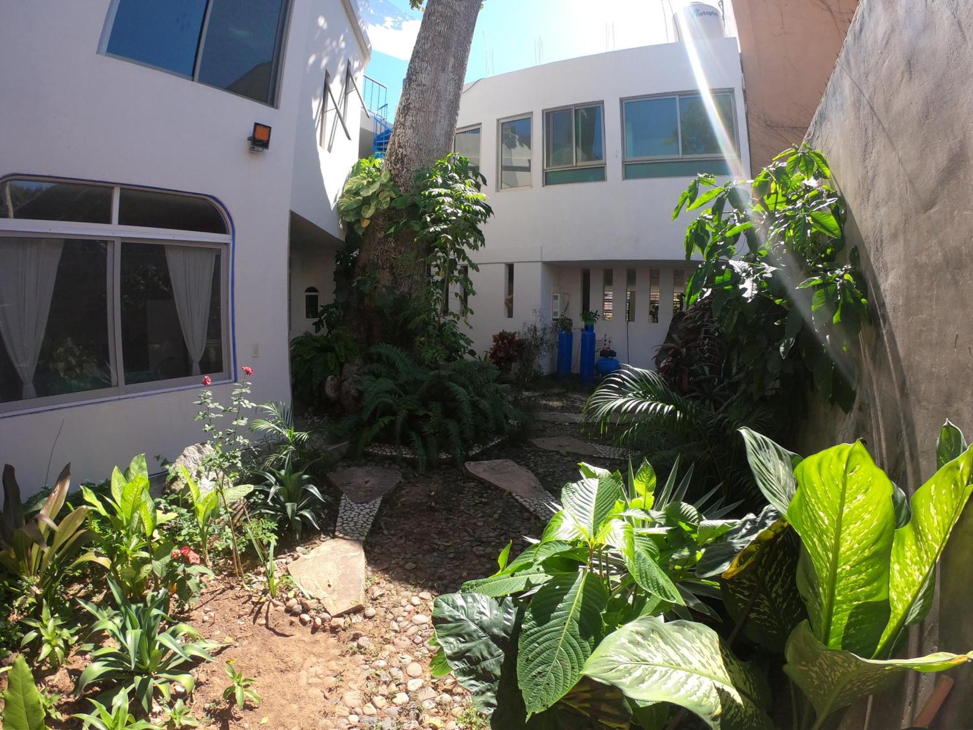 Casa Arbol De Paz Habitacion Doble 차칼랄 외부 사진