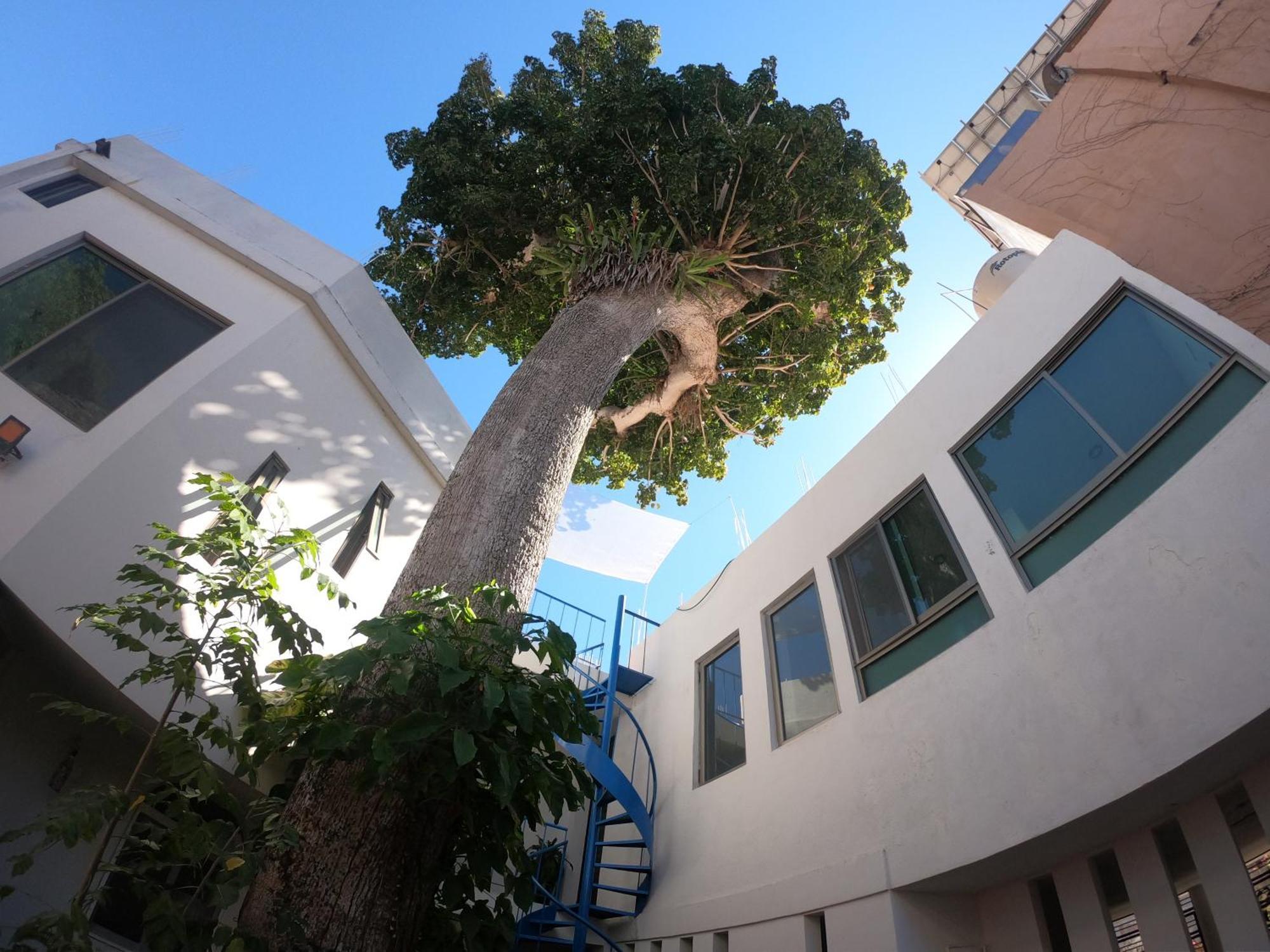 Casa Arbol De Paz Habitacion Doble 차칼랄 외부 사진